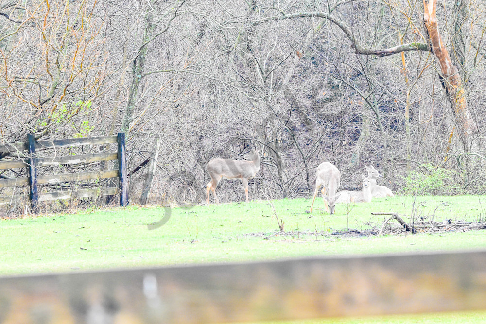 Waukee Backroads 15 Photography Art | Photos By Regan