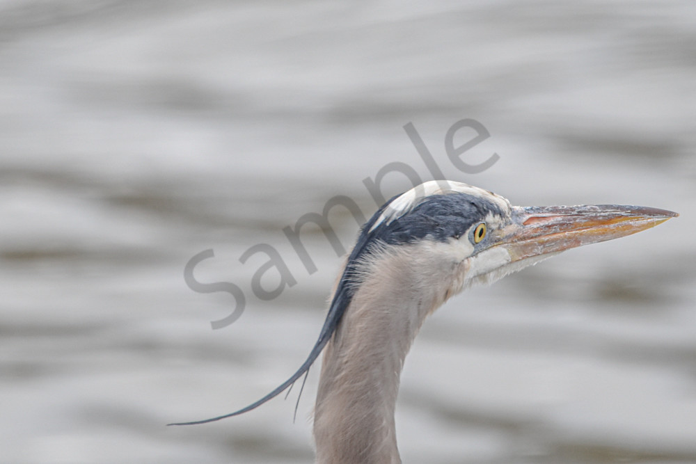 Waukee Backroads 124 Photography Art | Photos By Regan