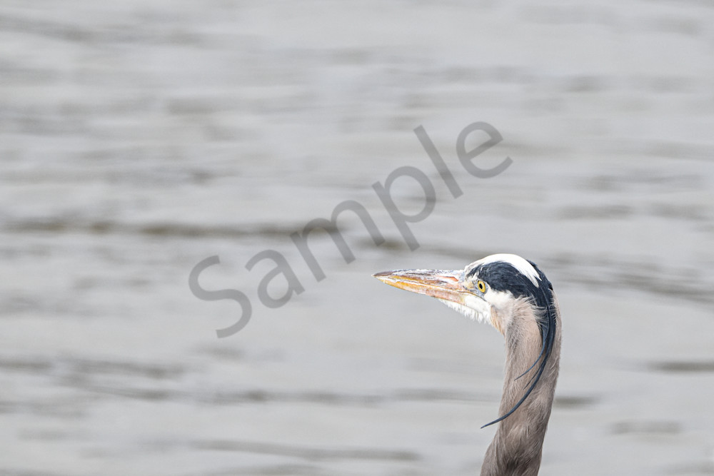 Waukee Backroads 131 Photography Art | Photos By Regan