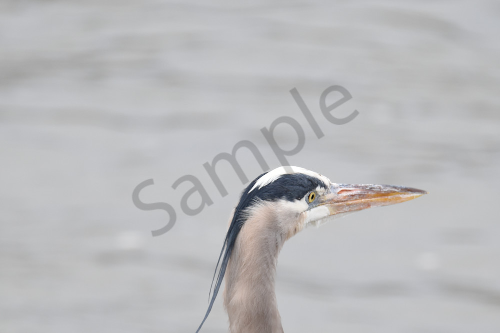 Waukee Backroads 133 Photography Art | Photos By Regan