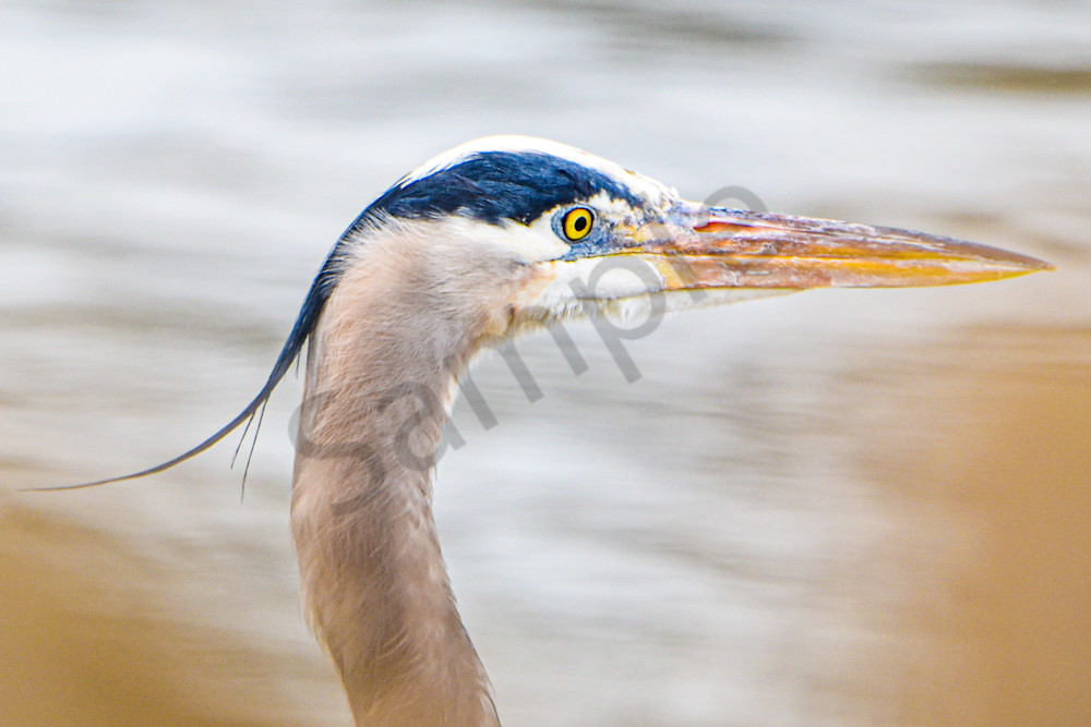 Waukee Backroads 109 Photography Art | Photos By Regan