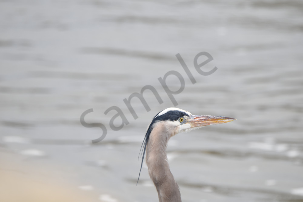 Waukee Backroads 135 Photography Art | Photos By Regan