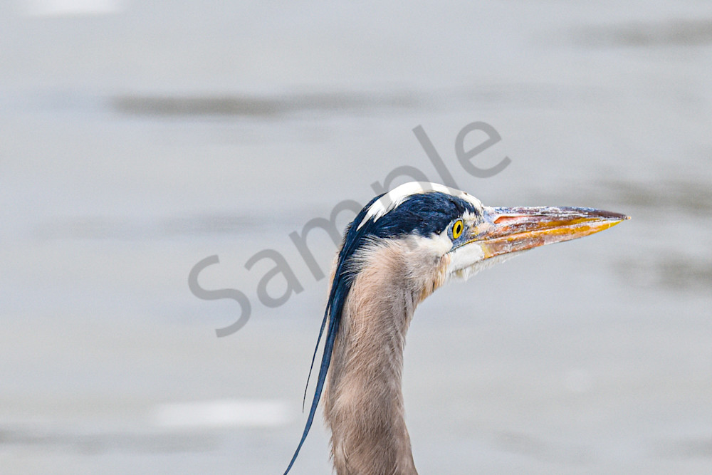 Waukee Backroads 125 Photography Art | Photos By Regan