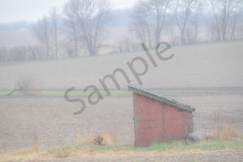 Waukee Backroads 31 Photography Art | Photos By Regan