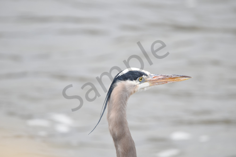 Waukee Backroads 138 Photography Art | Photos By Regan