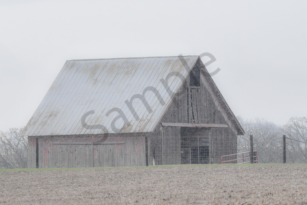 Waukee Backroads 38 Photography Art | Photos By Regan