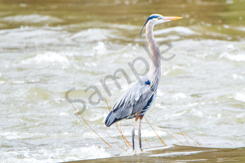 Waukee Backroads 151 Photography Art | Photos By Regan