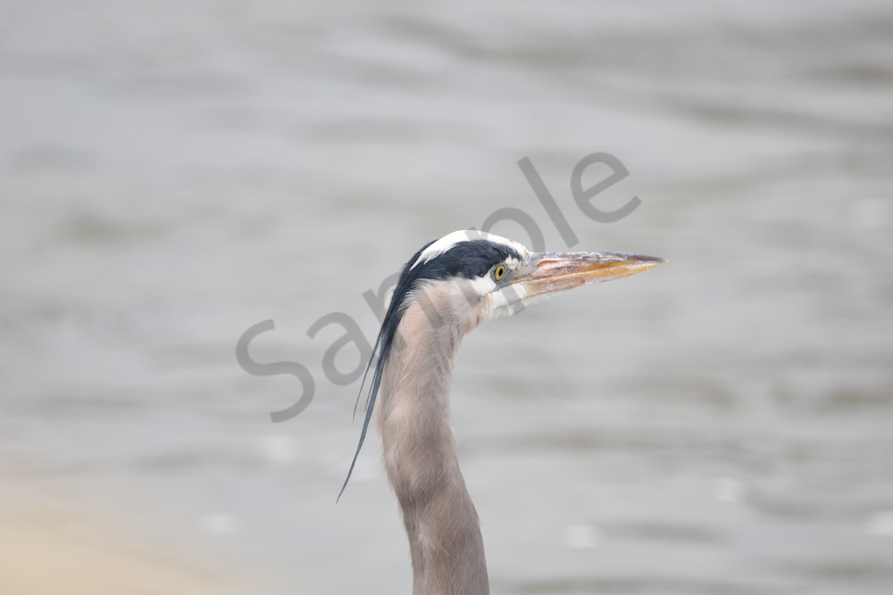 Waukee Backroads 139 Photography Art | Photos By Regan