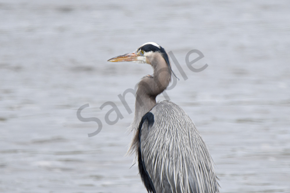 Waukee Backroads 149 Photography Art | Photos By Regan