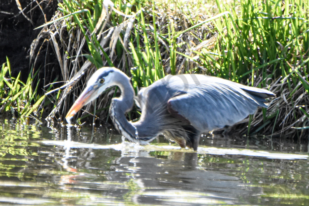 Eagles Nest 21 Photography Art | Photos By Regan