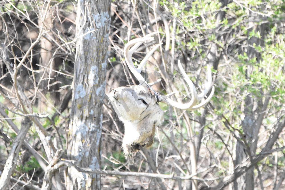 Eagles Nest 7 Photography Art | Photos By Regan