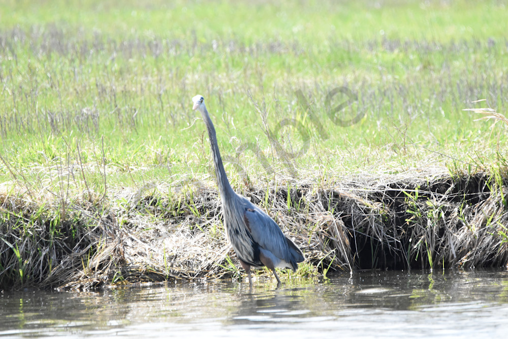 Eagles Nest 24 Photography Art | Photos By Regan