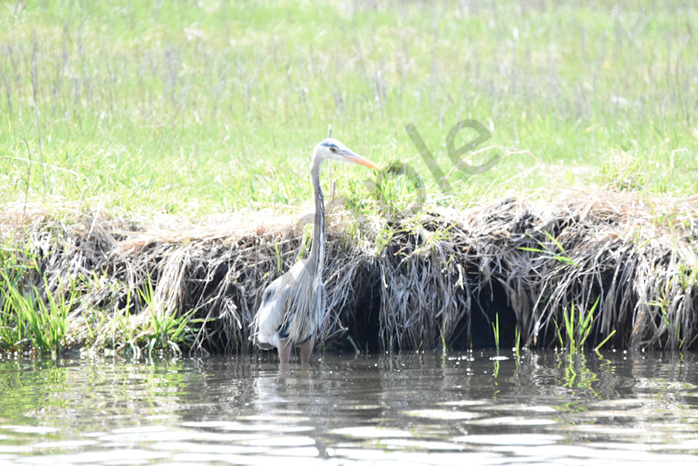 Eagles Nest 22 Photography Art | Photos By Regan