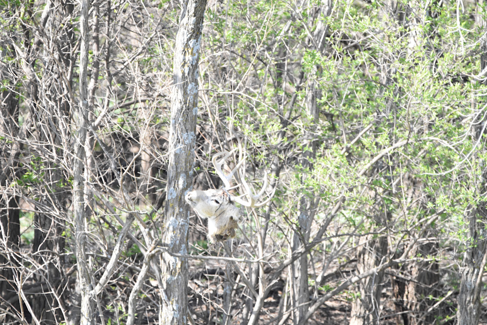 Eagles Nest 8 Photography Art | Photos By Regan