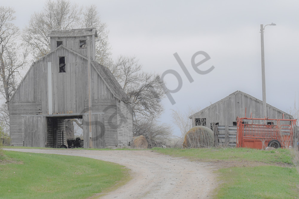 Urbandale Farms 19 Photography Art | Photos By Regan