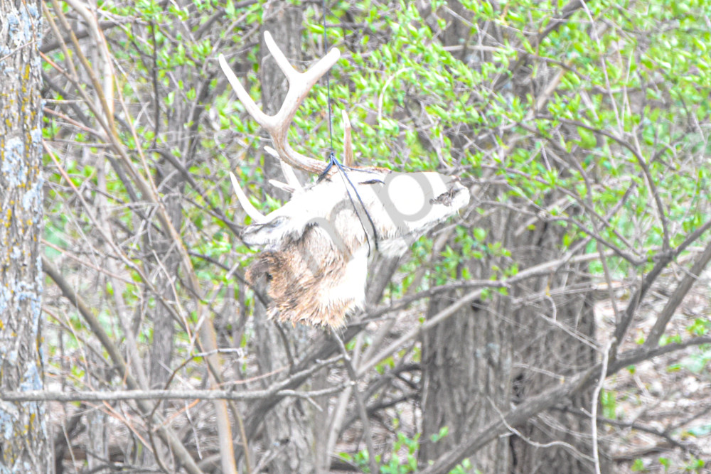 Urbandale Farms 1 Photography Art | Photos By Regan