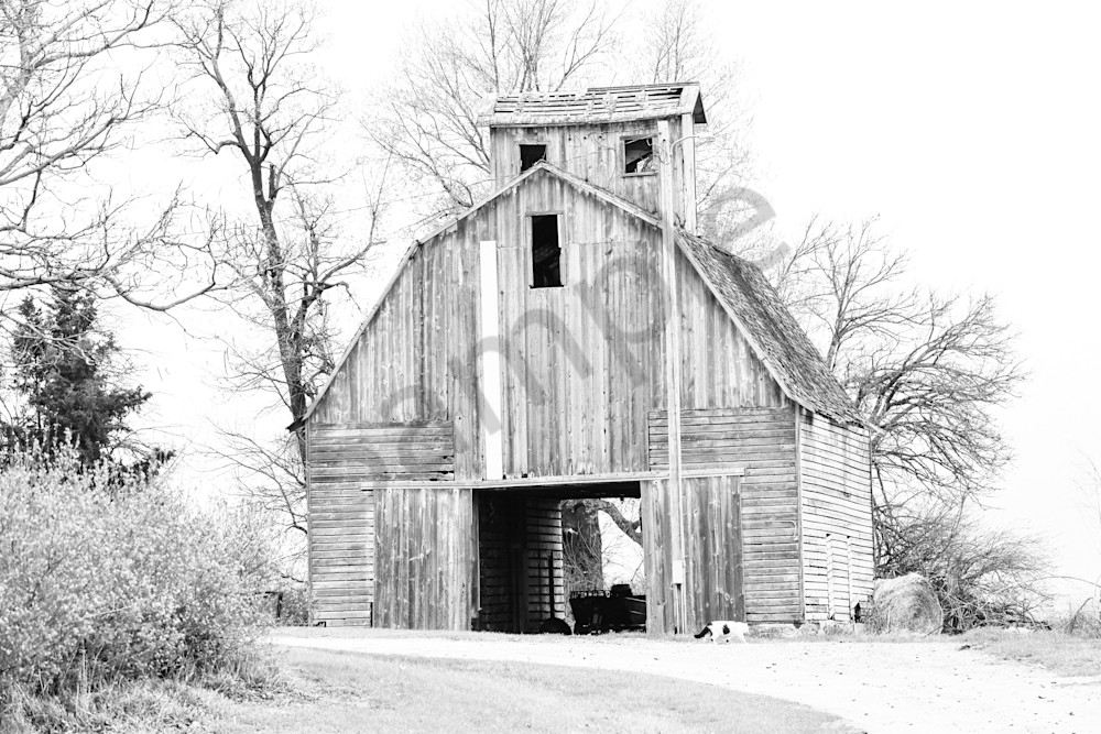 Urbandale Farms 20 Photography Art | Photos By Regan