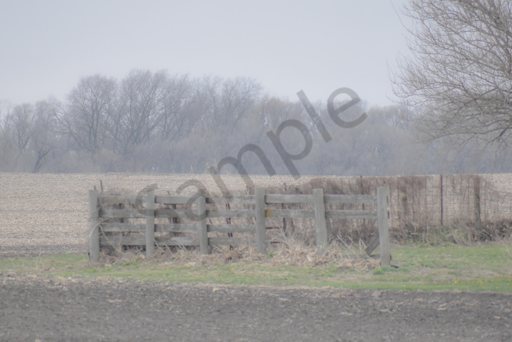 Urbandale Farms 22 Photography Art | Photos By Regan