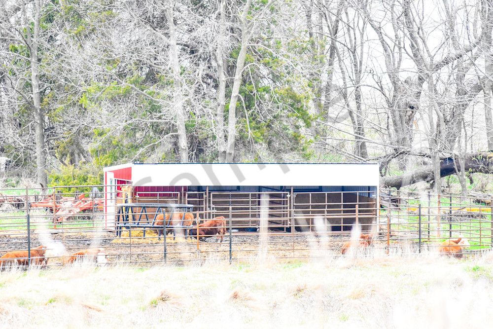 Urbandale Farms 25 Photography Art | Photos By Regan