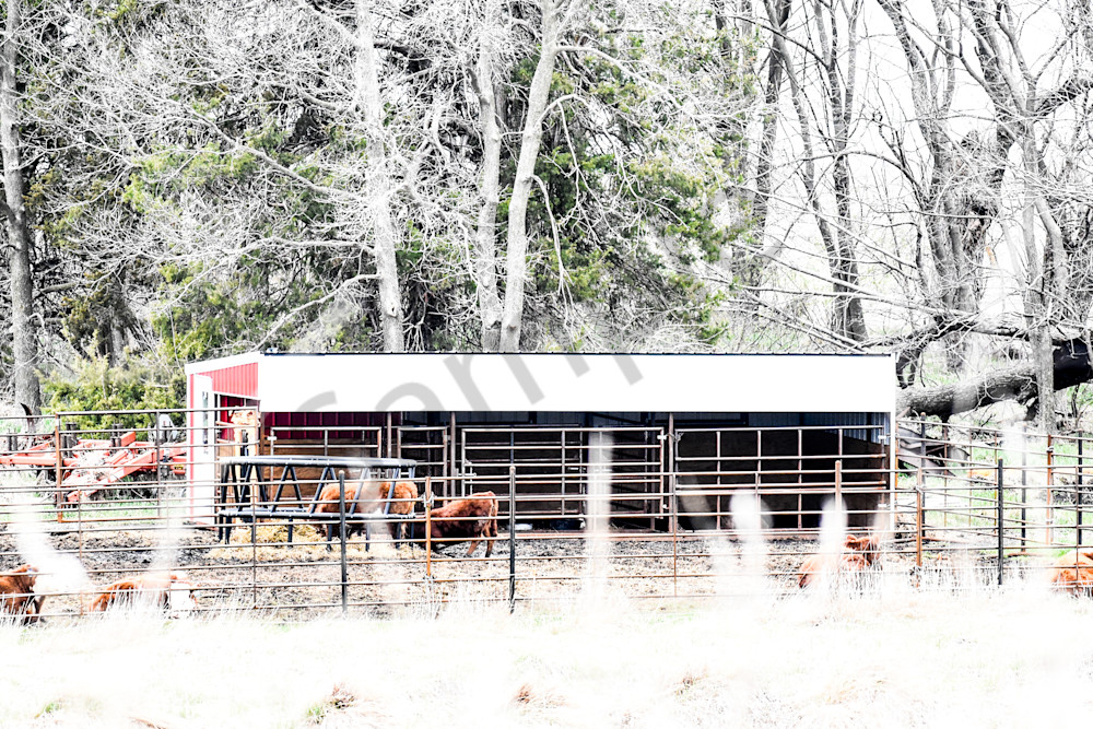 Urbandale Farms 26 Photography Art | Photos By Regan