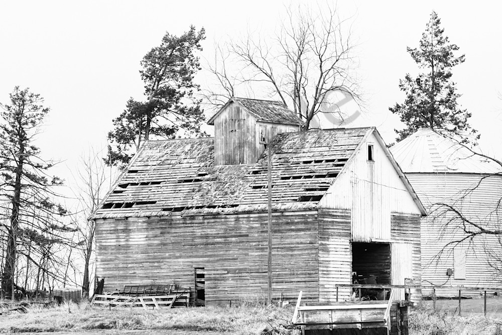 Urbandale Farms 24 Photography Art | Photos By Regan