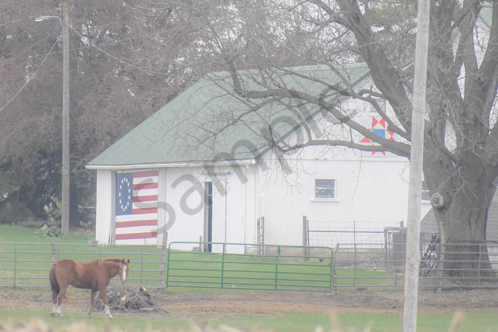 Urbandale Farms 28 Photography Art | Photos By Regan