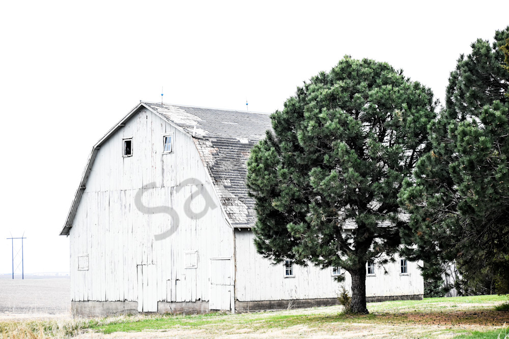 Urbandale Farms 33 Photography Art | Photos By Regan