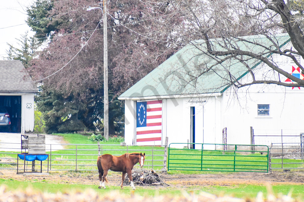 Urbandale Farms 27 Photography Art | Photos By Regan