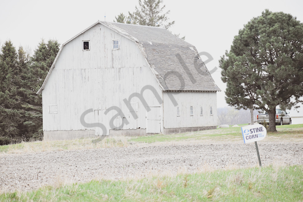 Urbandale Farms 34 Photography Art | Photos By Regan