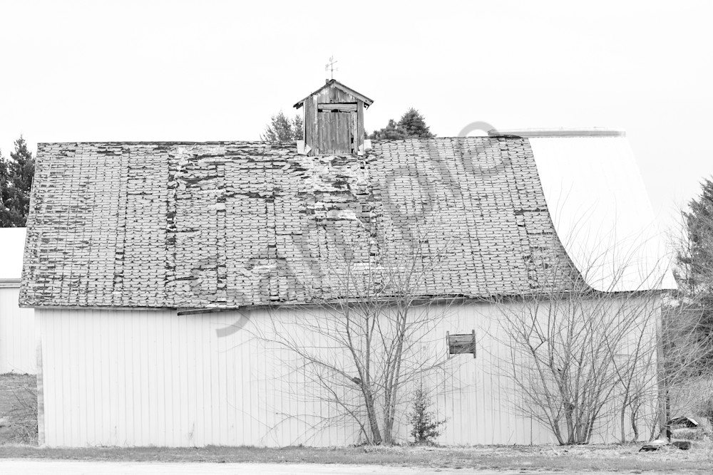 Urbandale Farms 5 Photography Art | Photos By Regan