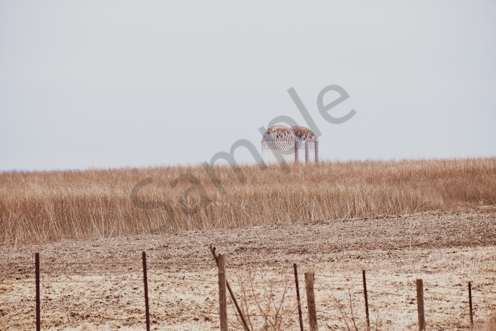 Urbandale Farms 11 Photography Art | Photos By Regan