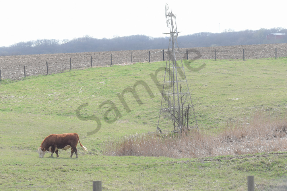 Desoto Countryside 8 Photography Art | Photos By Regan
