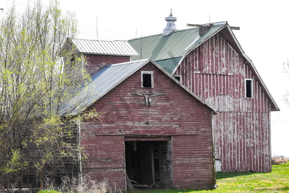 Desoto Countryside 17 Photography Art | Photos By Regan