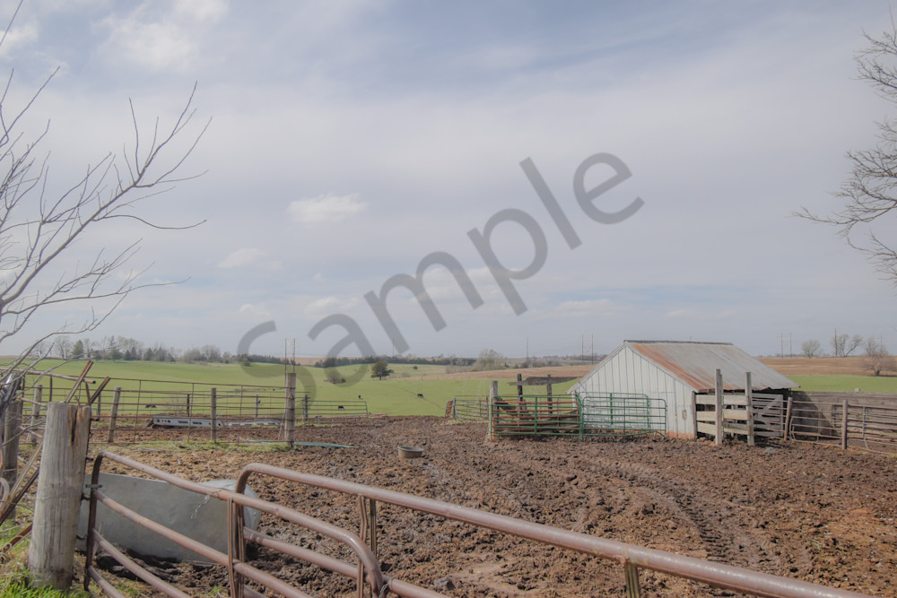 Desoto Countryside 25 Photography Art | Photos By Regan