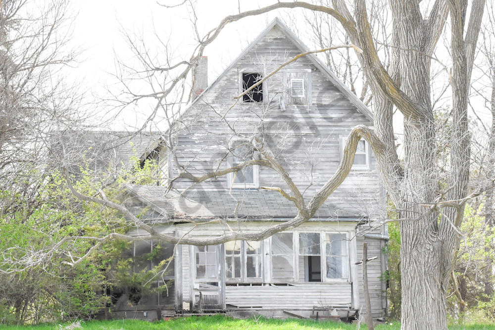 Desoto Countryside 16 Photography Art | Photos By Regan