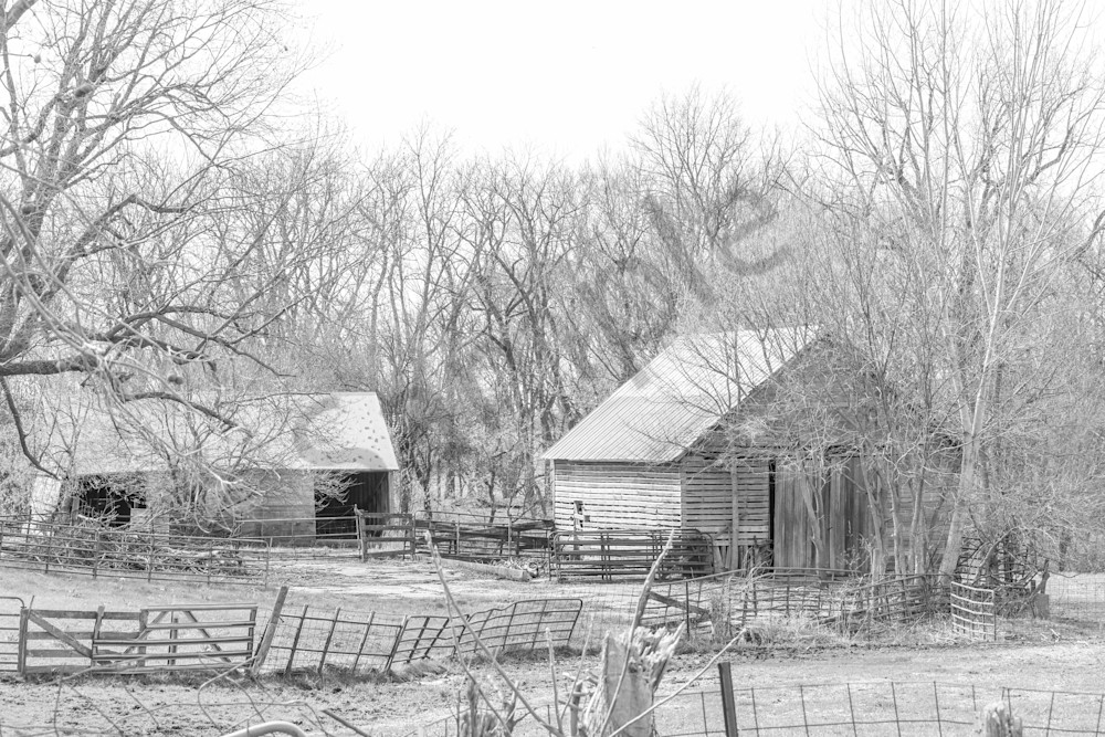 Desoto Countryside 15 Photography Art | Photos By Regan