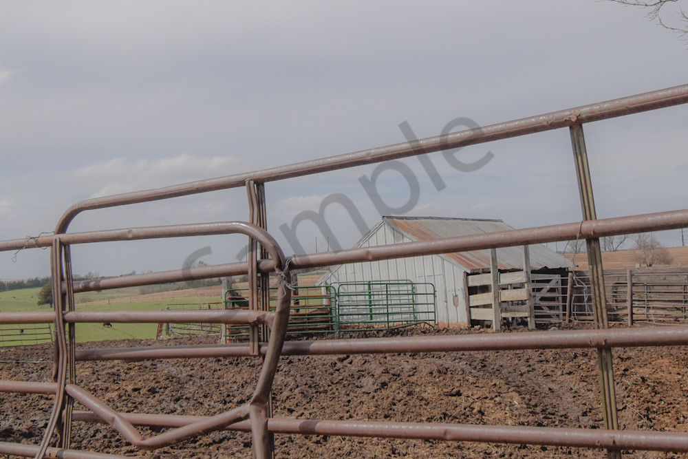 Desoto Countryside 27 Photography Art | Photos By Regan