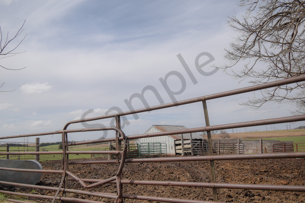 Desoto Countryside 26 Photography Art | Photos By Regan