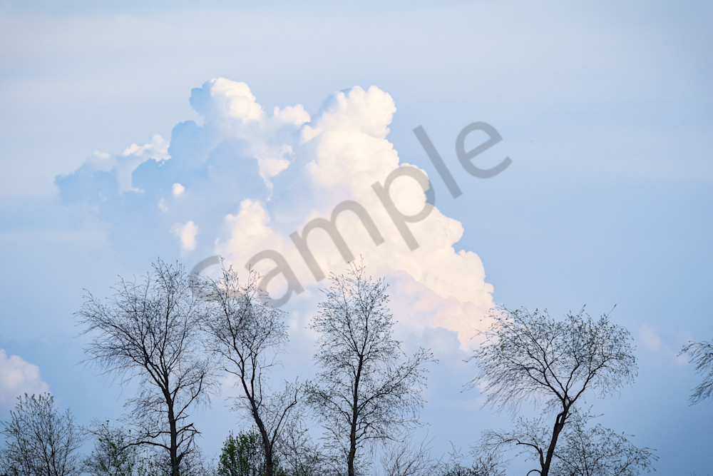 Booneville Road 3 Photography Art | Photos By Regan