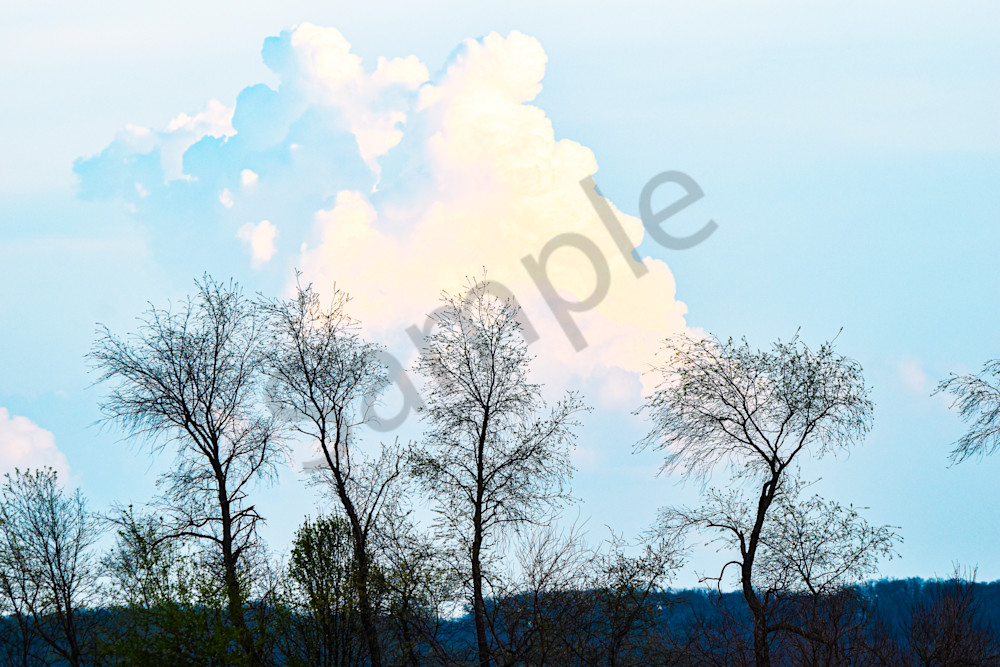 Booneville Road 5 Photography Art | Photos By Regan