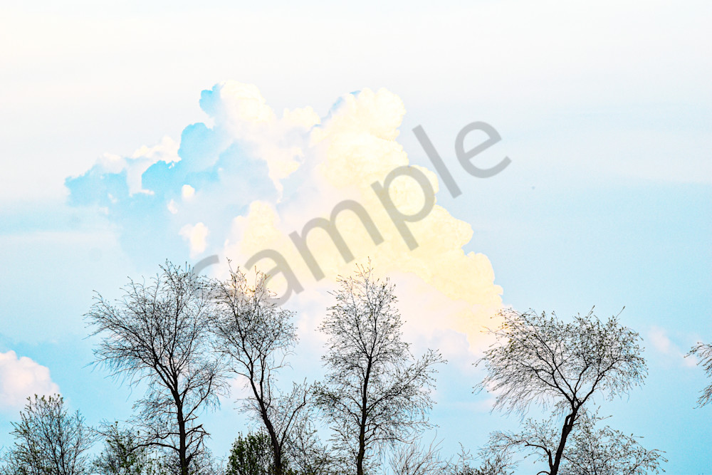 Booneville Road 4 Photography Art | Photos By Regan