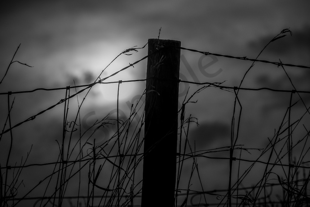 Booneville Road 12 Photography Art | Photos By Regan