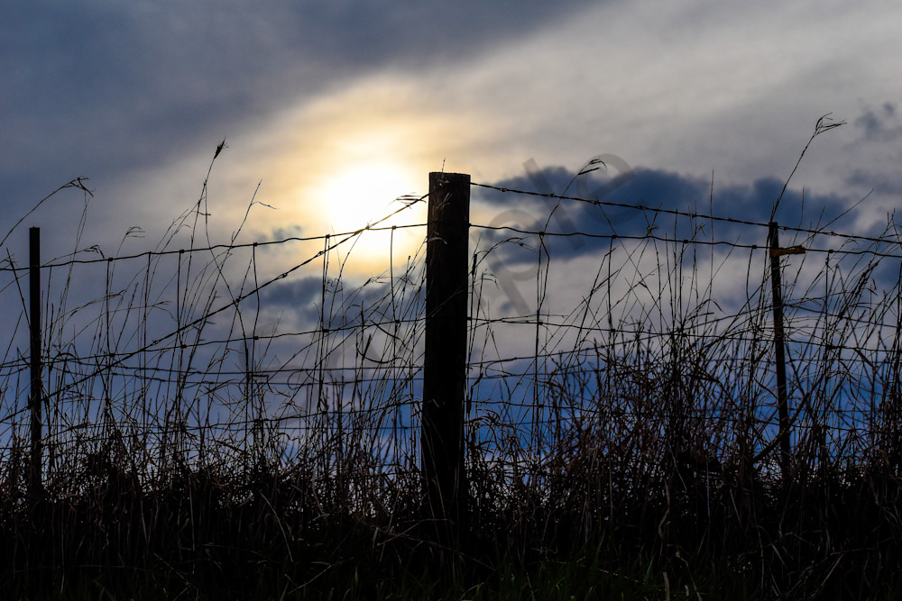 Booneville Road 13 Photography Art | Photos By Regan