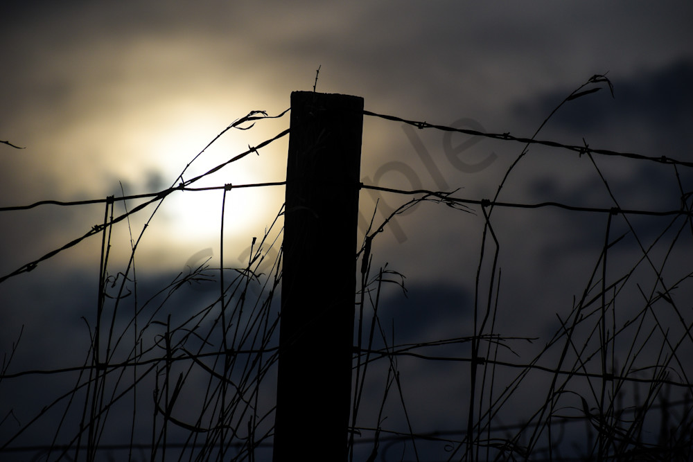 Booneville Road 10 Photography Art | Photos By Regan