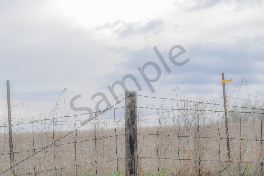 Booneville Road 9 Photography Art | Photos By Regan