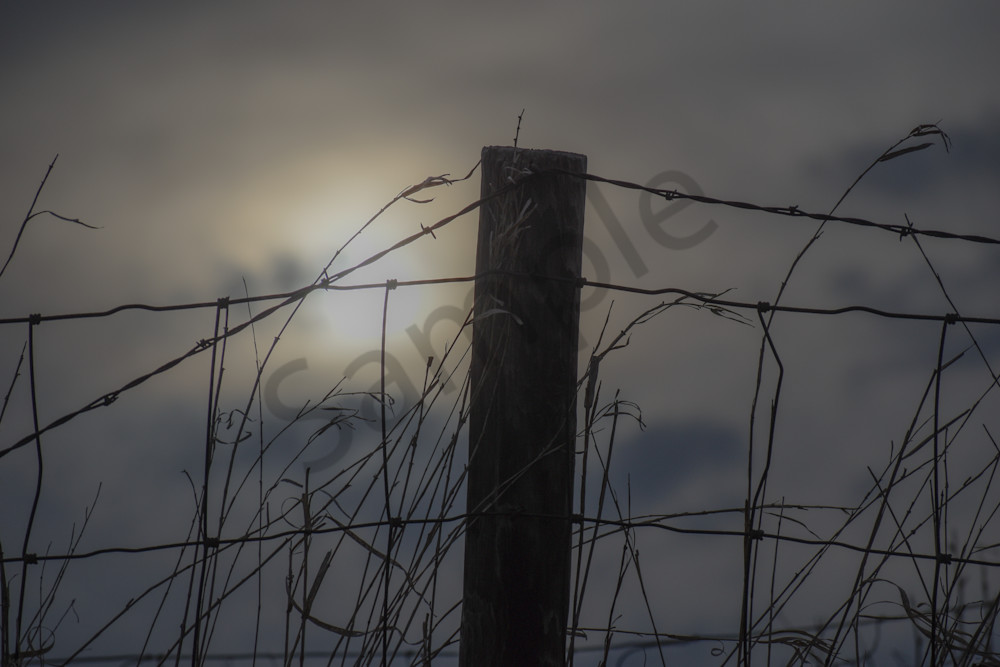 Booneville Road 11 Photography Art | Photos By Regan