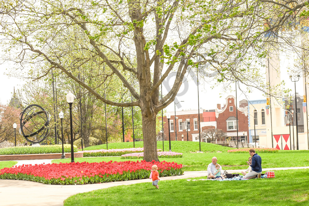 Pella 8 Photography Art | Photos By Regan