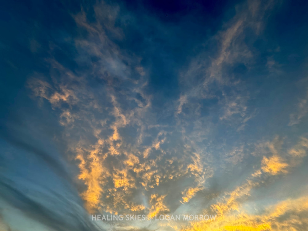 Dog Bowls | Healing Skies by Logan Morrow | Compassionate Animal Art