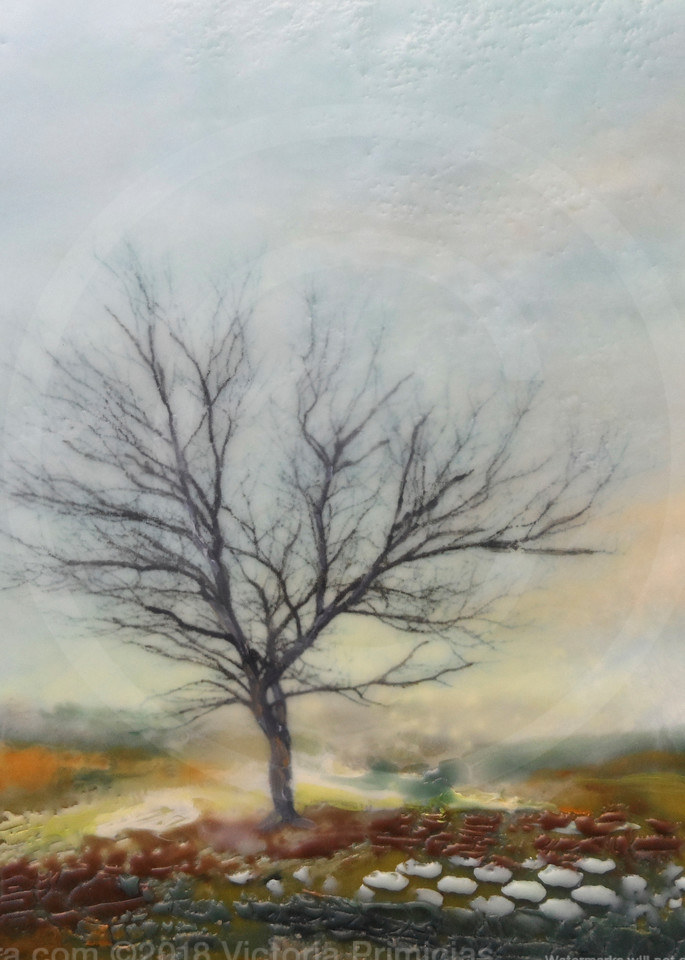 Silent Encore - Tree Painting - Art Prints for Home Décor