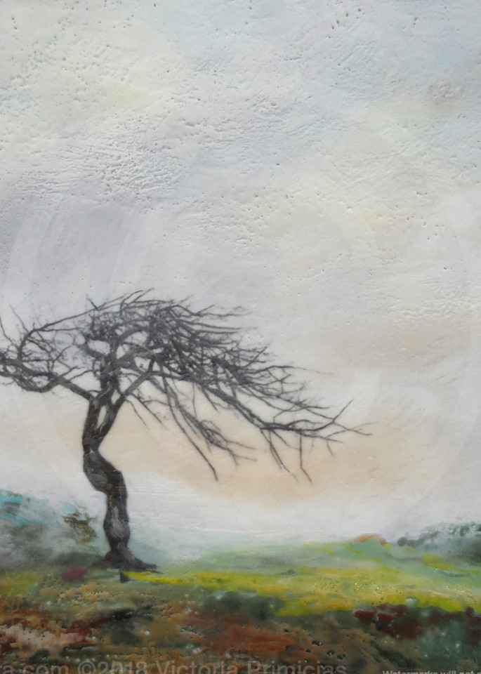 Slumbering Canopy - Tree Painting - Artwork and Prints